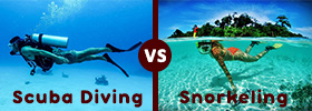 Scuba Diving vs Snorkelling 
