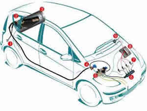 Liquefied Petroleum Gas (LPG)