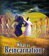 What is Reincarnation