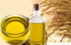 Edible Cooking Oil - Rice bran oil