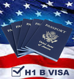 B visa. H1b виза. H1 visa. Visa Premium.