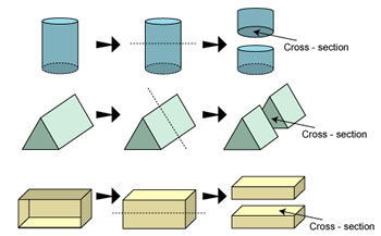 Cross Sections